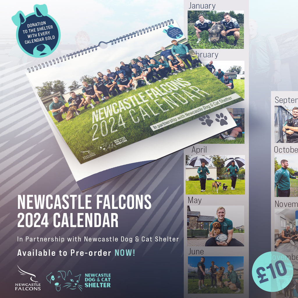 2024 Newcastle Falcons X Dog and Cat Shelter Calendar