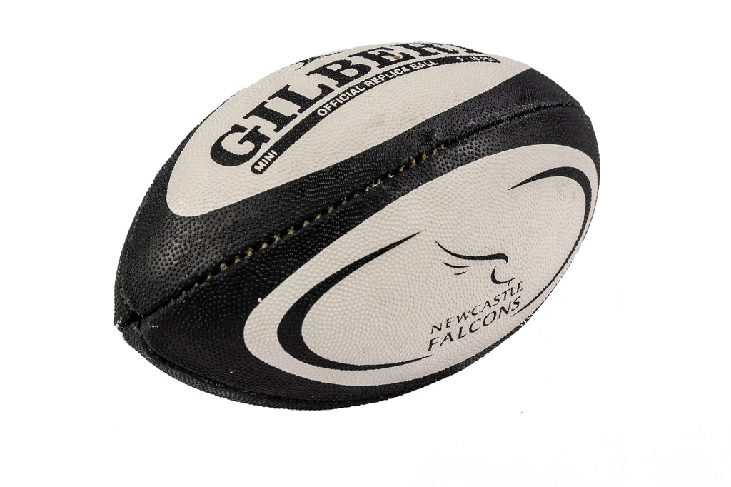 Newcastle Falcons Mini Ball